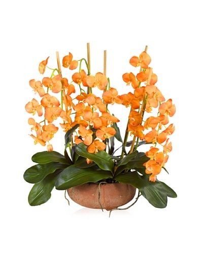 New Growth Designs Faux Orange Phalaenopsis Orchid