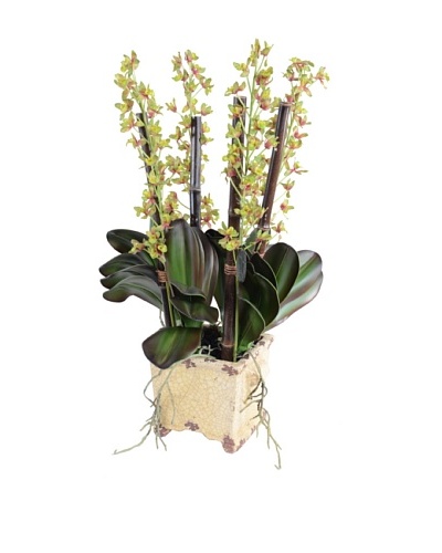 New Growth Designs Faux Cattleya Orchid