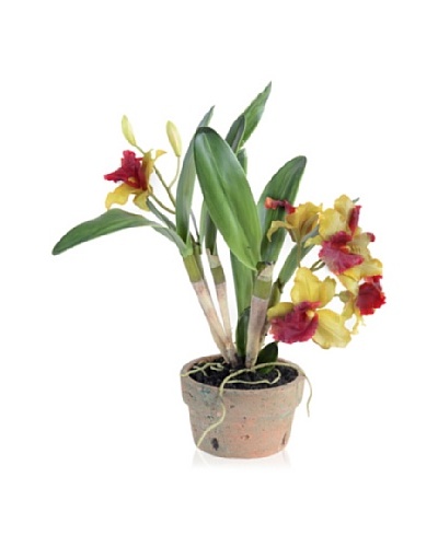 New Growth Designs Faux Cattleya Orchid