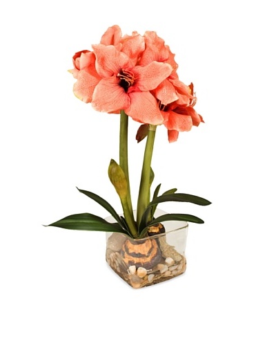 New Growth Designs Faux Amaryllis Bulb Plant