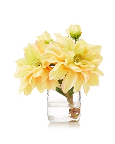 New Growth Designs Dahlia Cut Stems in Cube Vase with Faux Water, Yellow