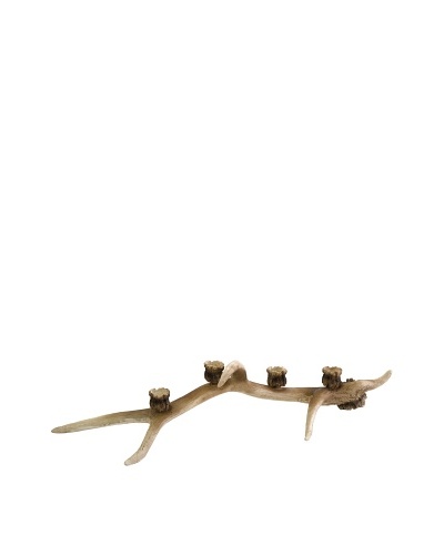 Tilmont Antler Candle Holder