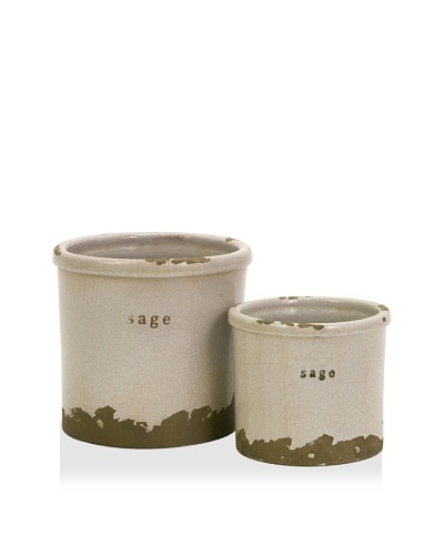 Set of 2 Sage Herb Pots