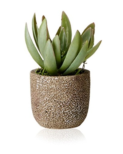 Lux-Art Silks Small Echeveria in Small Stone Pot, Green