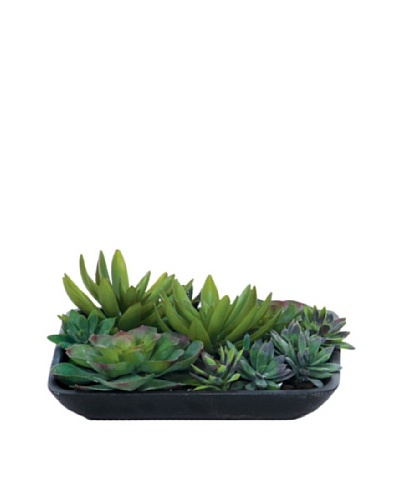 Lux-Art Silks Succulent Waterlike, Green