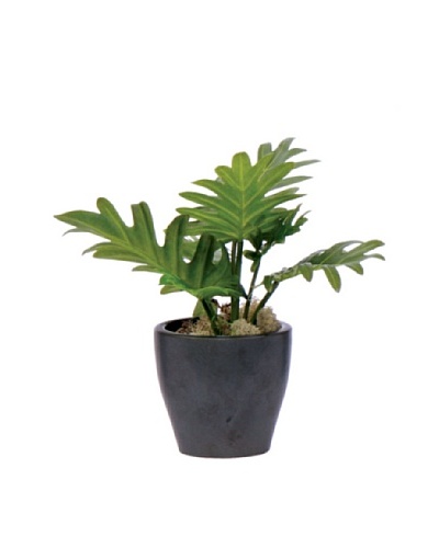 Lux-Art Silks Split Leaf in Black Pot, Green