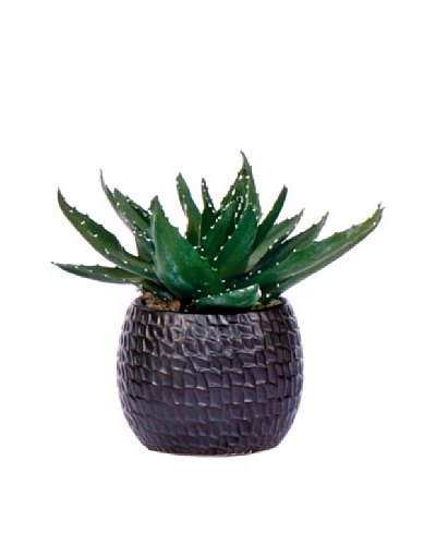 Lux-Art Silks Aloe in Black Container, Green