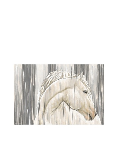 Maxwell Dickson White Horse Canvas Art
