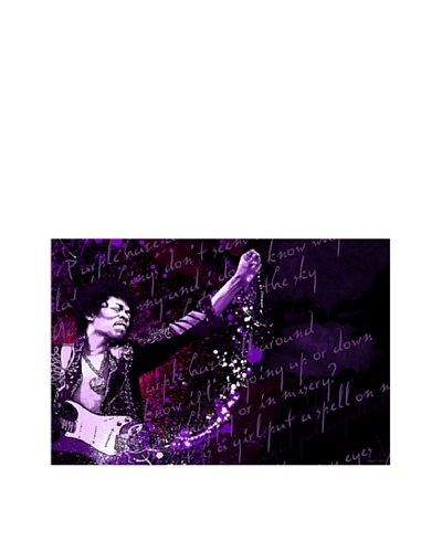 Maxwell Dickson Purple Haze Canvas Art