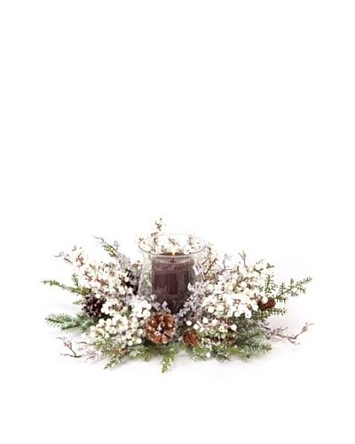 Melrose Iced Pine Candle Centerpiece with Glass Globe
