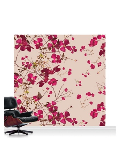 Michael Angove Clematis Claret Mural, Standard, 8′ x 8′