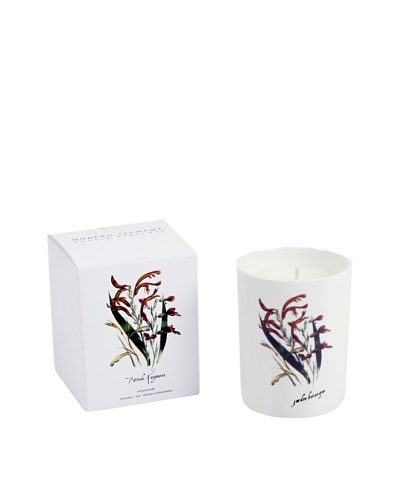 Modern Alchemy Pattede Kangouron 7-Oz. Candle