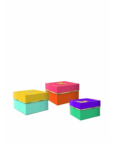 Molly & Rex Set of 3 Flying Icons Storage Boxes