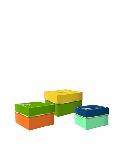 Molly & Rex Set of 3 Worldly Icons Storage Boxes