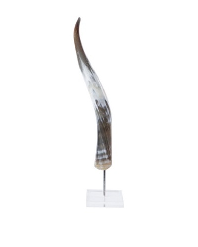 Moo-Moo Designs Mounted Nguni Cow Horn, Natural