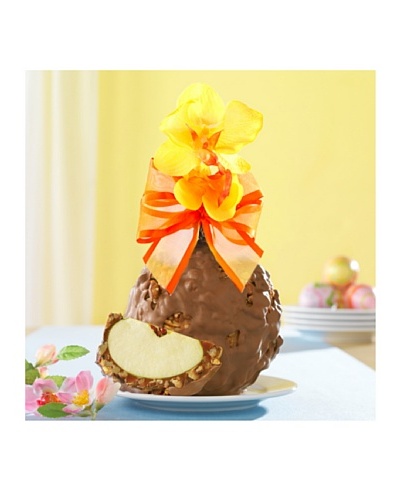 Mrs. Prindable's Yellow Orchid Milk Chocolate Walnut Pecan Jumbo Apple