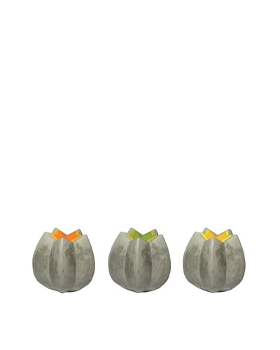 MU Design Co. Concrete Starfruit Form