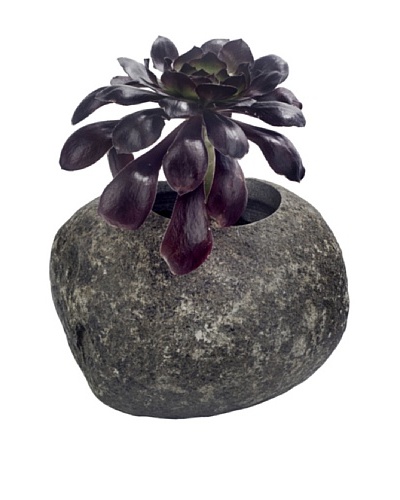 My Spirit Garden Small Natural River Stone Planter, 5″H x 7″dia.