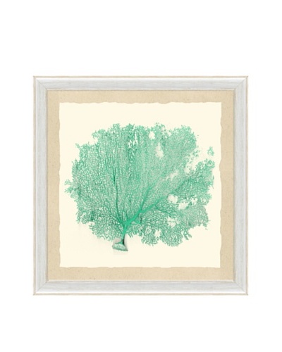 Pastel Sea Fan Framed Print II