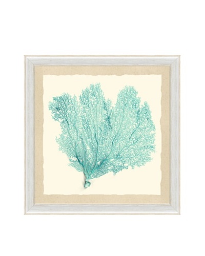 Pastel Sea Fan Framed Print III