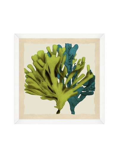 Green & Teal Seaweed Crop Framed Print I