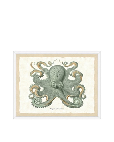 Teal Octopus Framed Print