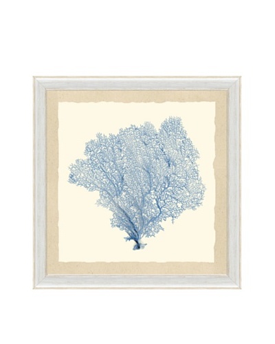 Pastel Sea Fan Framed Print I