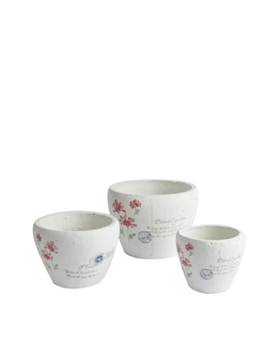 Napa Home & Garden Set of 3 Cheerful Cachepots