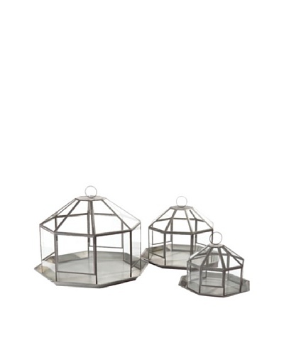 Napa Home & Garden Set of 3 Garden District Francis Terrariums