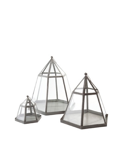 Napa Home & Garden Set of 3 Garden District Ameline Terrariums