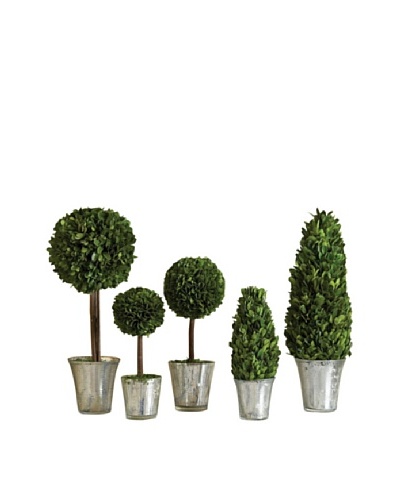 Napa Home & Garden Set of 5 Assorted Topiary in Mercury Glass PlantersAs You See