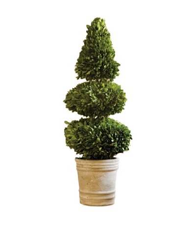 Napa Home and Garden Boxwood Double Ball & Cone Tree Topiary