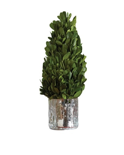 Napa Home and Garden Boxwood Cone in Silver Mercury Glass Planter