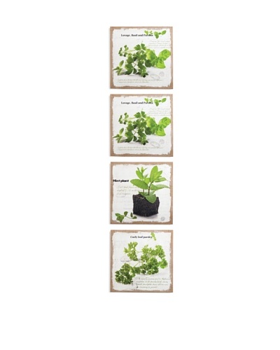 Napa Home and Garden Set of 4 Farmhouse Herb Garden Prints