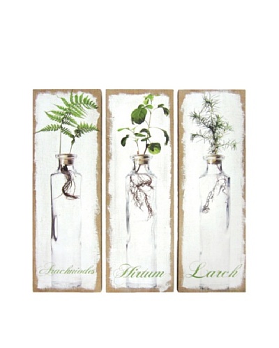 Napa Home and Garden Assorted Farmhouse Burbank Plant Wall Décor, Triptych