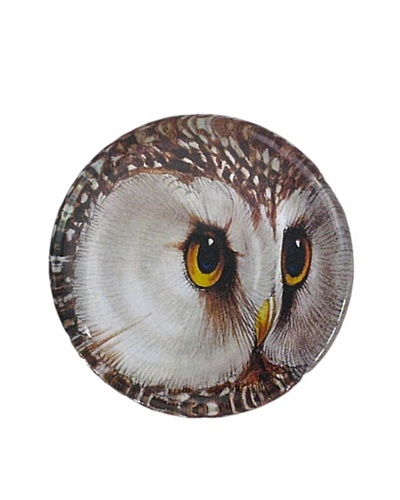 Victoria Fischetti Owl Head Paperweight
