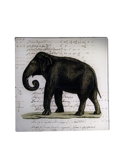 Twigs and Moss African Series Elephant Glass Tray