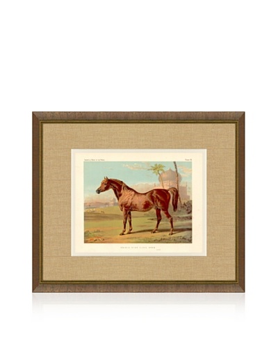 1879 Equestrian Print VI