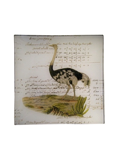 Twigs and Moss African Series Ostrich Glass Tray
