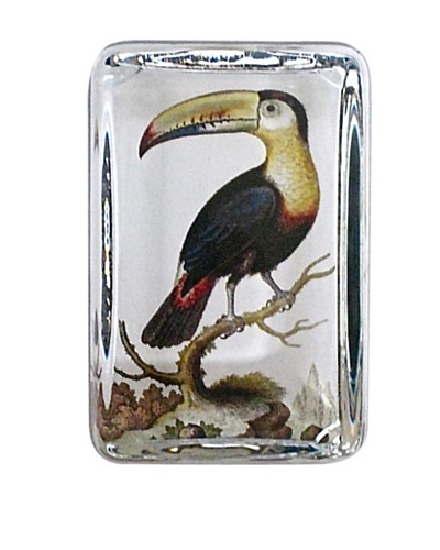 Victoria Fischetti Toucan Rectangle Paperweight