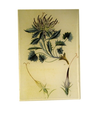 Twigs and Moss Blue Leaved Thistle Glass Tray