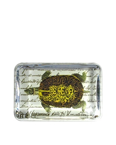 Victoria Fischetti Brown Turtle/Script Paperweight