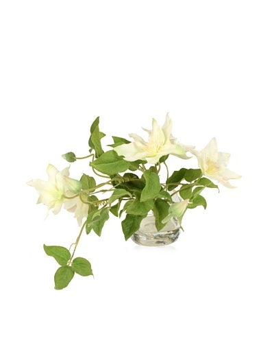 New Growth Designs White Clematis Vase