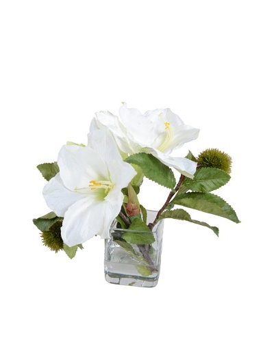 New Growth Designs White Amaryllis Arrangement