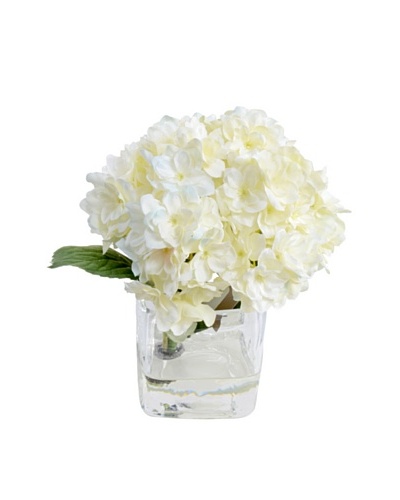 New Growth Designs Hydrangea Cutting in 3″ Cube Vase