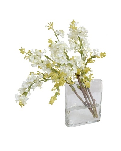 New Growth Designs White Lilac Arrangement