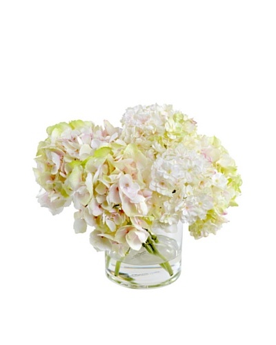 New Growth Designs Hydrangea Arrangement in 6 Cylinder Vase