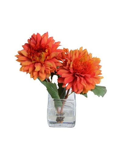 New Growth Designs Orange Dahlia Arrangement