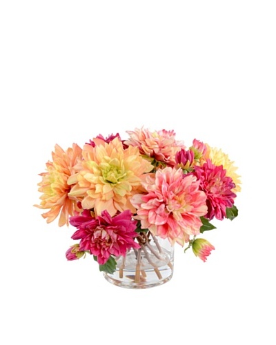 New Growth Designs Mixed Dahlia Arrangment in 6″ Cylinder Vase