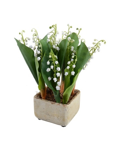 New Growth Designs Potted Lily Of The Valley